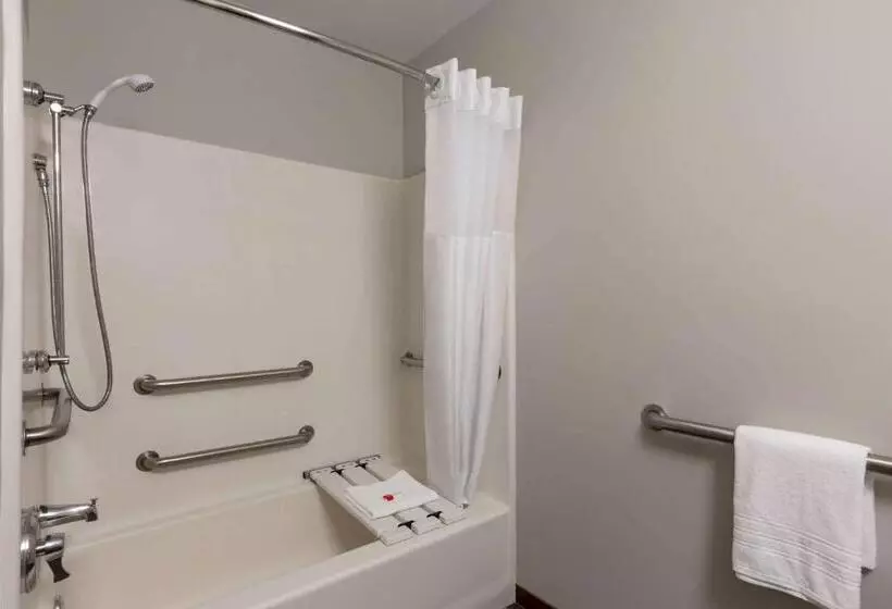 身障者適用スタンダードルーム, Microtel Inn & Suites By Wyndham