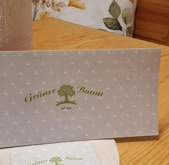 דירת חדר עם טרסה, Gasthof Grüner Baum