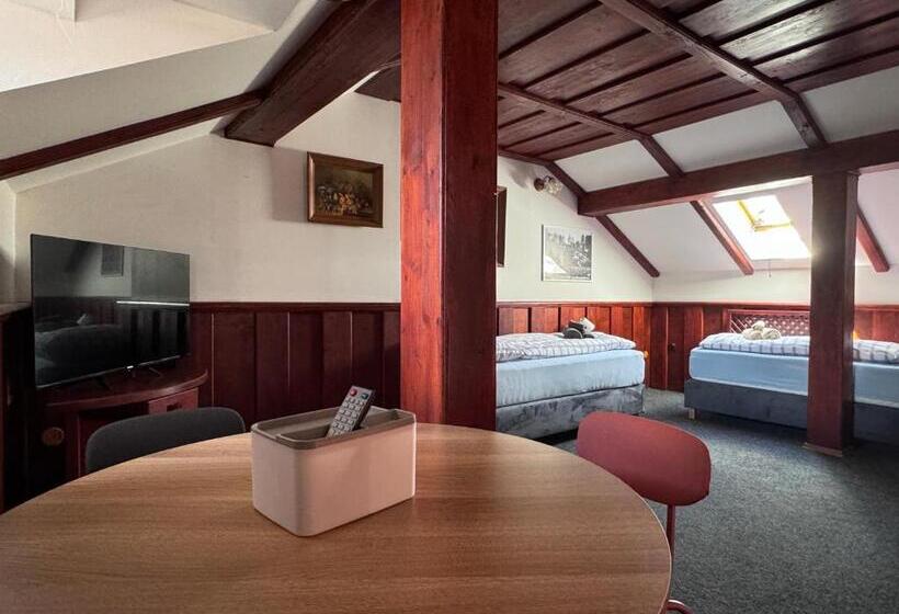 Номер Economy, Penzión Grand, Self Check In