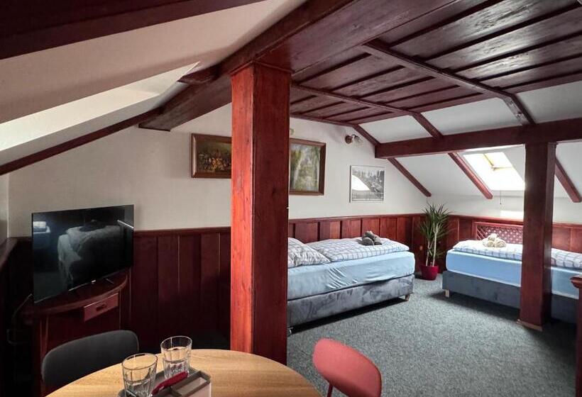 Номер Economy, Penzión Grand, Self Check In