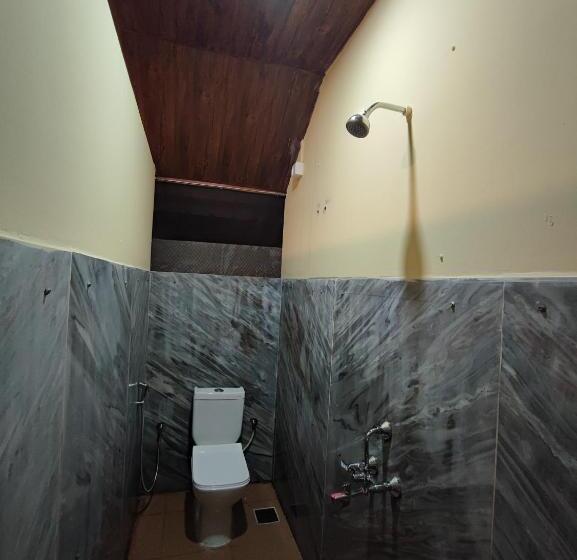 Номер Стандарт, Shivam Bnb Mandrem Resort