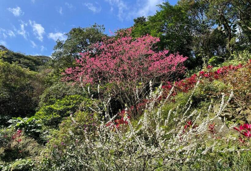 اتاق استاندارد چهار تخته, Lucky House B&b