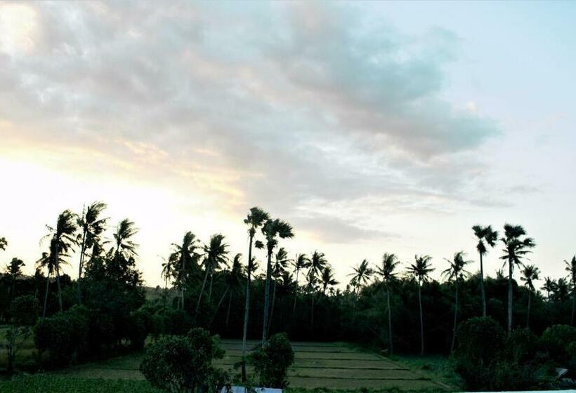 חדר דלוקס, Adore Guesthouse