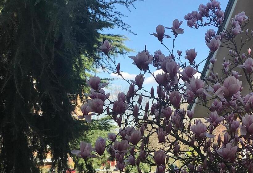 带大床的标准间, B&b Borgo Dei Fiori