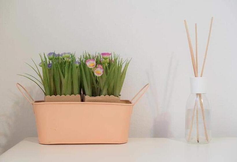 スタンダードルーム, Camere Nicolina 3