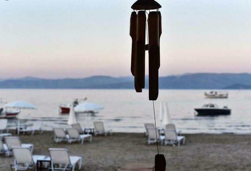 Номер Стандарт с Балконом, Erosea Beach Resort