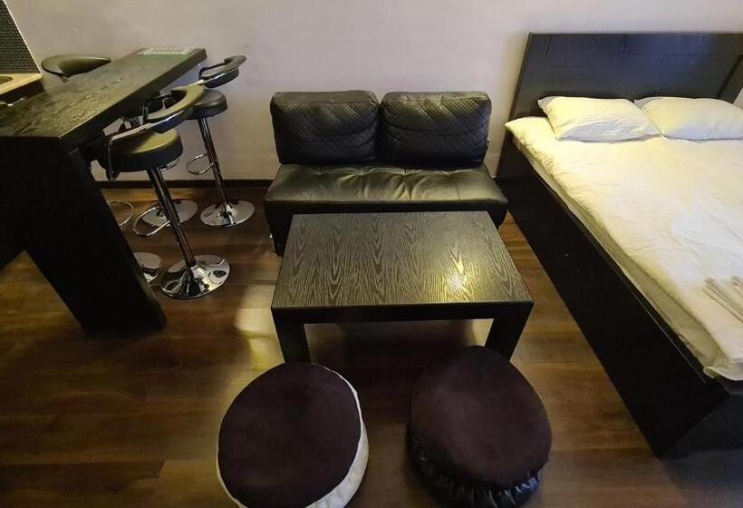 استودیوی استاندارد, New Gudauri Apartment