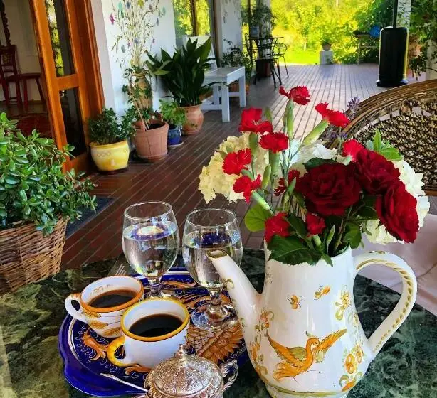 スタンダードルーム, Conacul Paloși