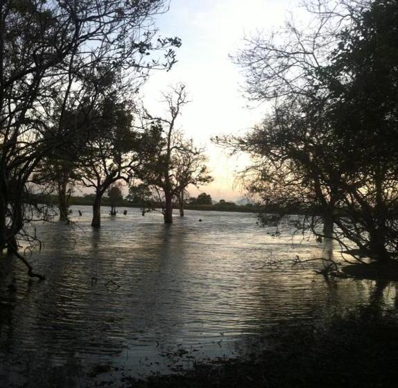 디럭스 룸 호수 전망, Goddess Garden Sigiriya