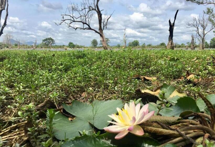 اتاق لوکس با چشم‌انداز دریاچه, Goddess Garden Sigiriya