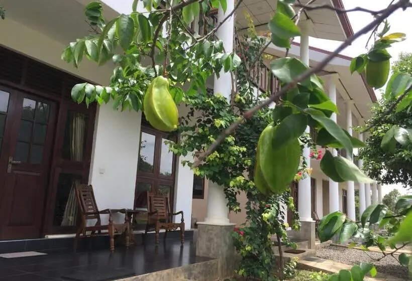 テラス付スタンダードルーム, Goddess Garden Sigiriya