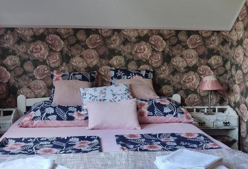 Номер Стандарт, Jánosi Vendégház