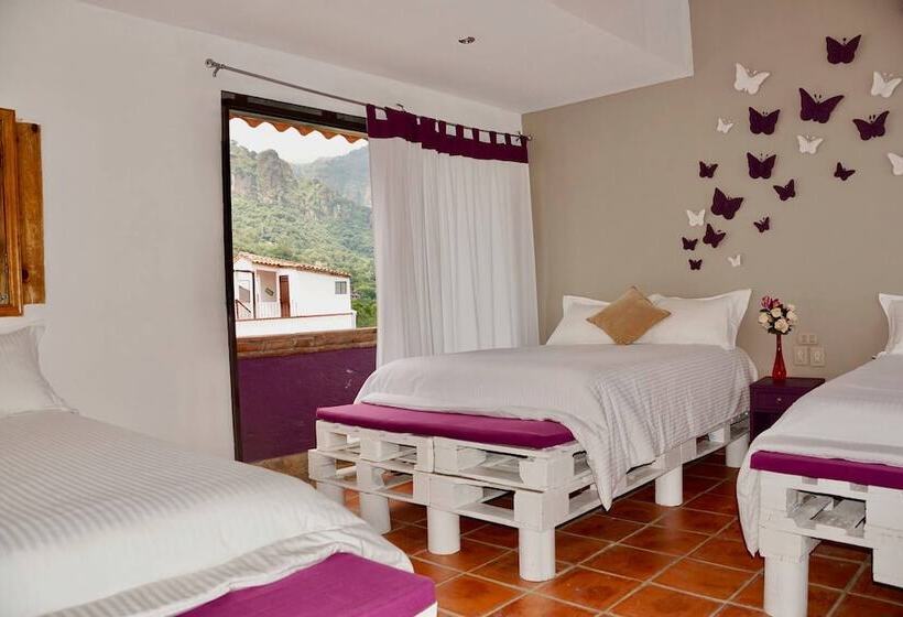 スタンダード4人部屋, Posada Ali Tepoztlan By Rotamundos