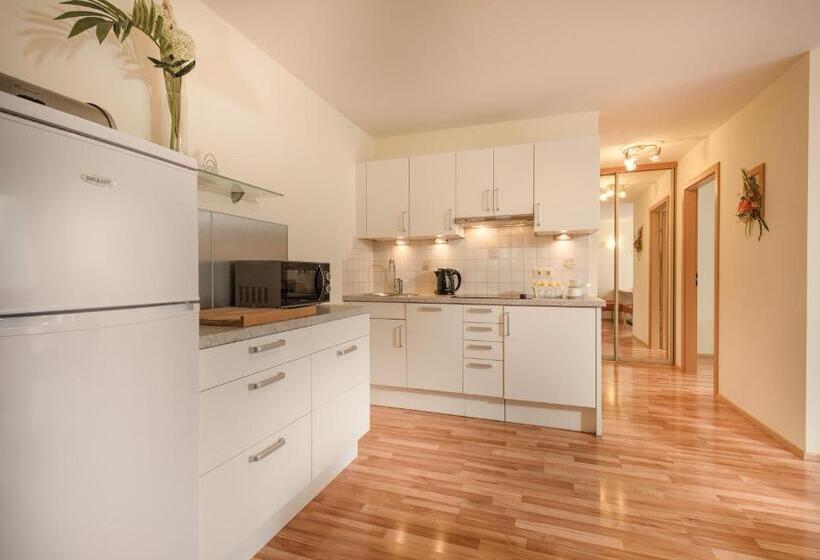 آپارتمان 3 خوابه, Bergparadies   Inklusive Eintritt In Die Alpentherme