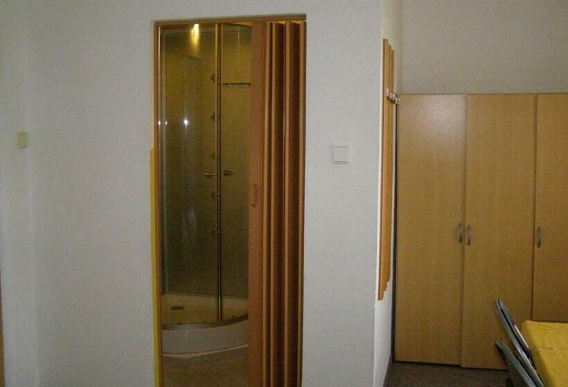 اتاق استاندارد, Penzion Borovice