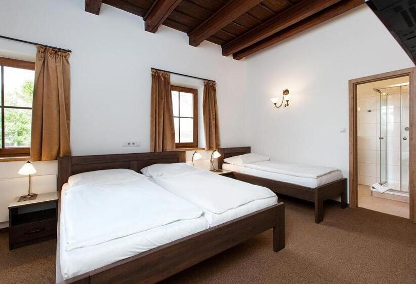 Трехместный Номер Deluxe, Penzion Onyx