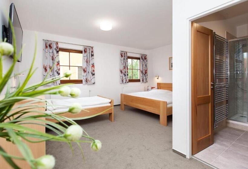 Трехместный Номер Deluxe, Penzion Onyx