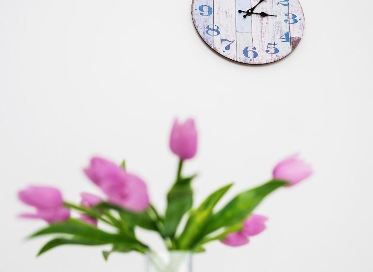 דירת שני חדרים, Penzion Pod Sudem