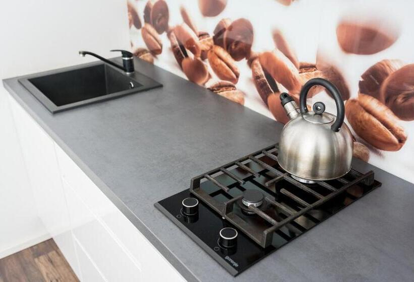 דירת שני חדרים, Penzion Pod Sudem