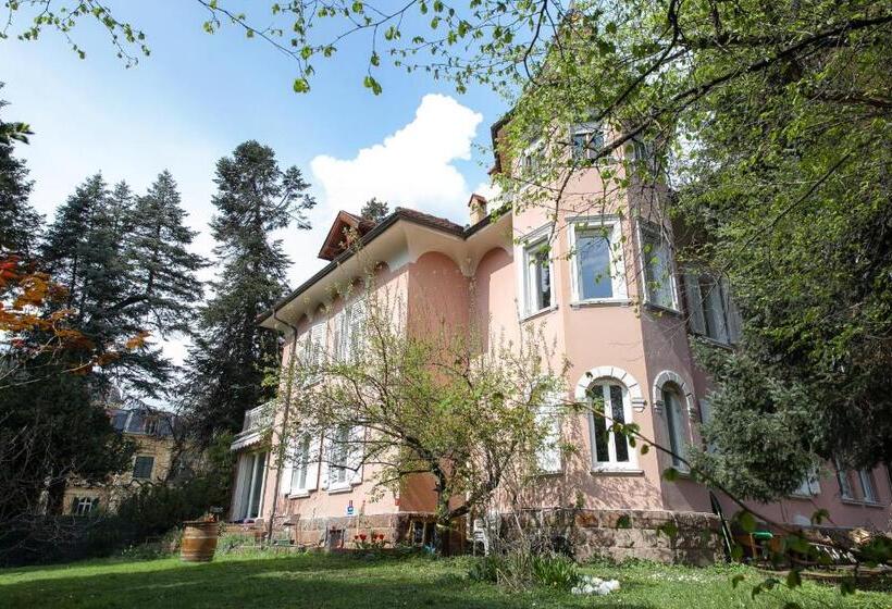 اتاق اکونومی با حمام مشترک, Villa Anita Rooms