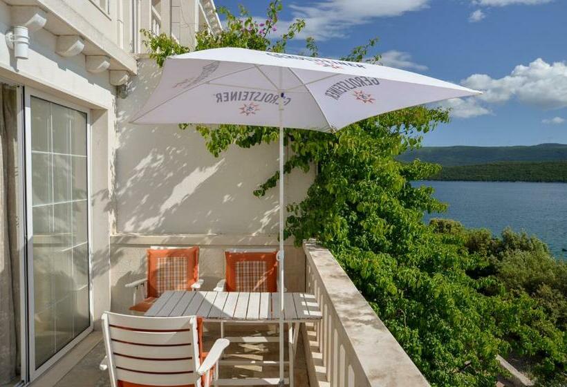 آپارتمان 1 خوابه با بالکن و چشم‌انداز دریا, Villa Slavka