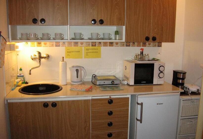 스탠다드 스튜디오, Pension Archa