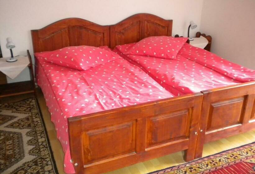 스탠다드 룸, Pensiunea Andrei Sibiel