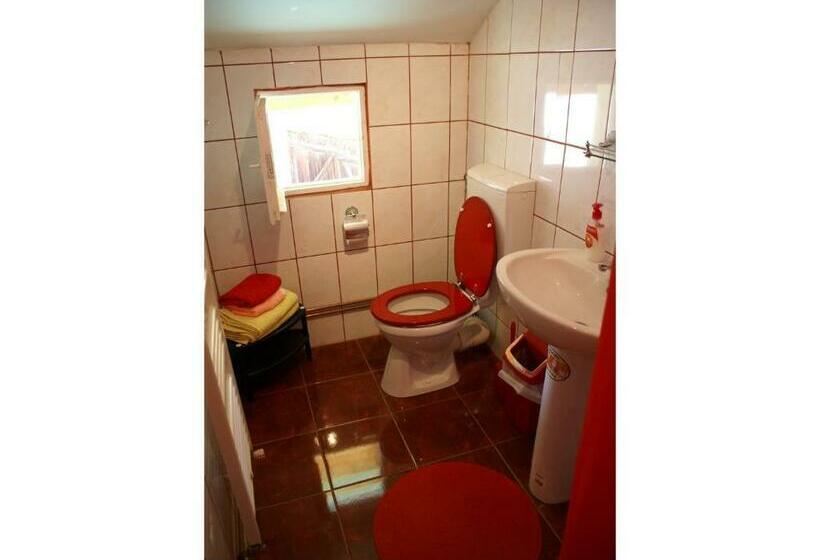 스탠다드 룸, Pensiunea Andrei Sibiel