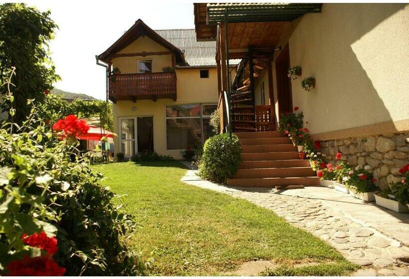 침실 5개 빌라, Pensiunea Andrei Sibiel