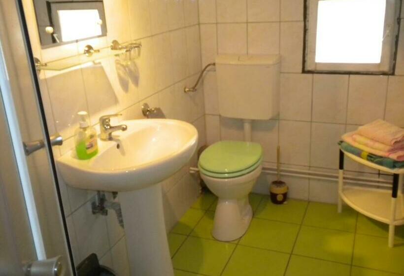 침실 5개 빌라, Pensiunea Andrei Sibiel