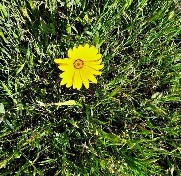 غرفة أساسية, Grootvlei Guest Farm