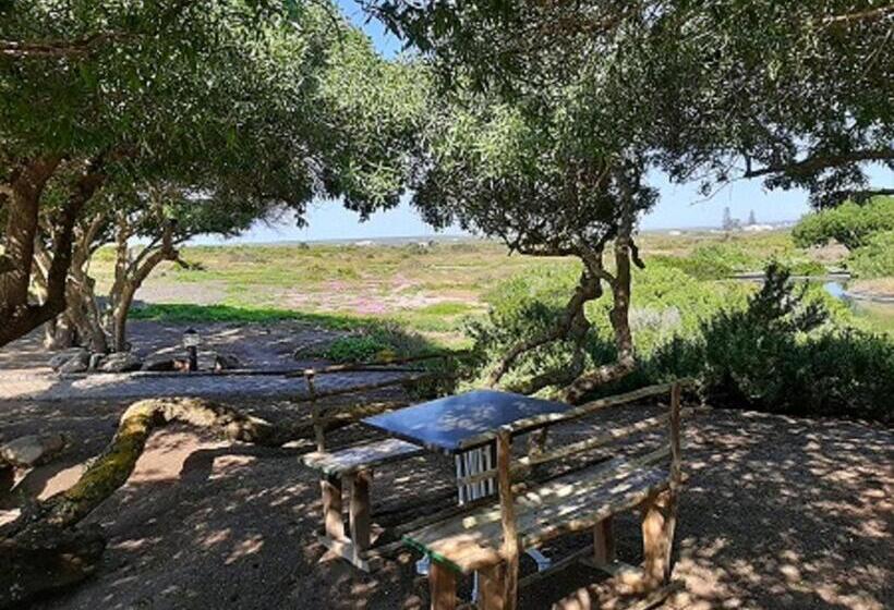 غرفة قياسية مطلّة علي الحديقة, Grootvlei Guest Farm