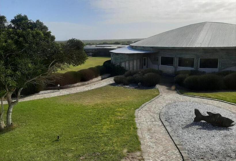 غرفة قياسية سرير كينج, Grootvlei Guest Farm