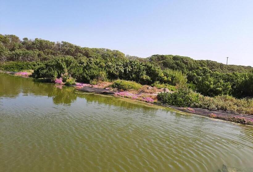 غرفة قياسية سرير كينج, Grootvlei Guest Farm