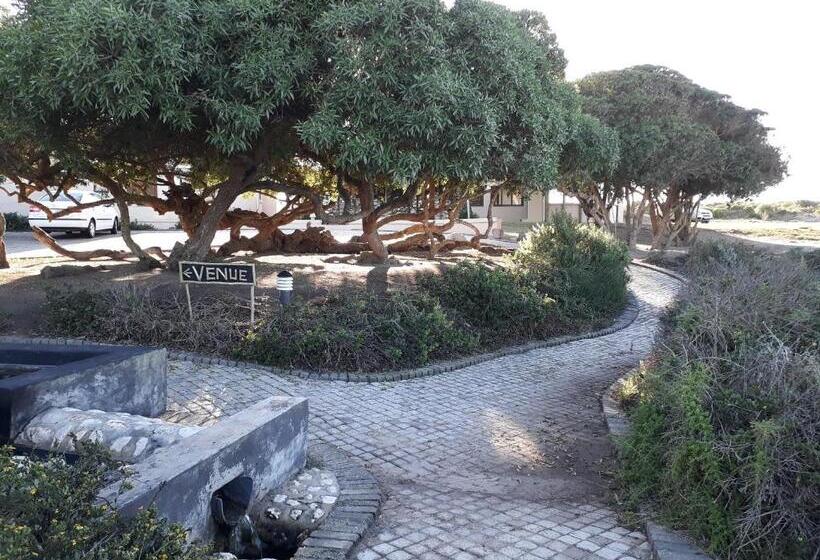 غرفة قياسية, Grootvlei Guest Farm