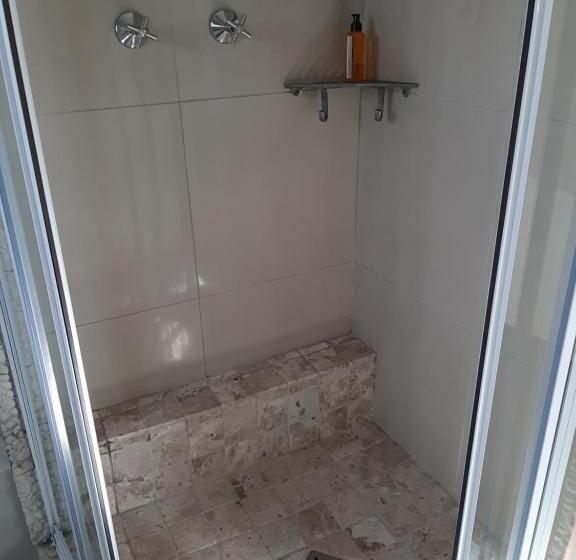 غرفة قياسية, Grootvlei Guest Farm