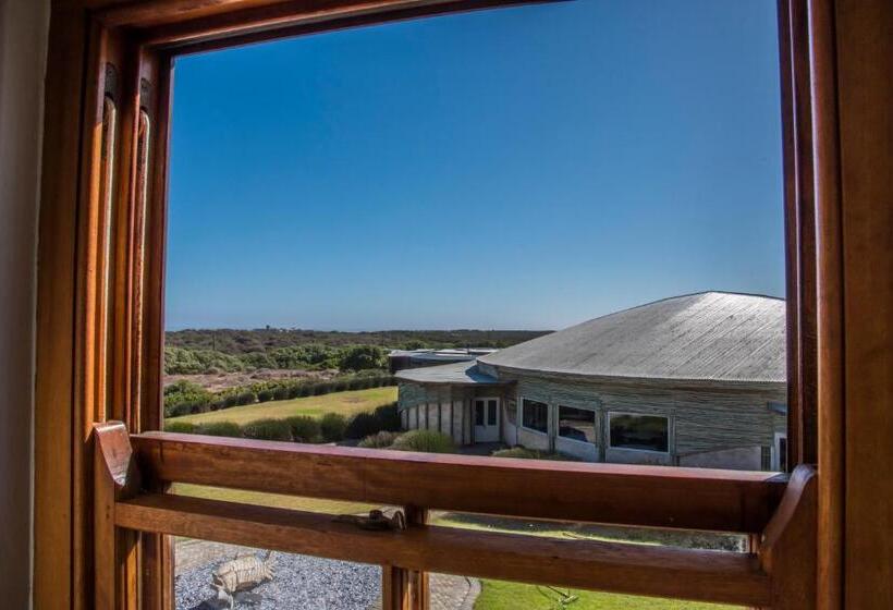 غرفة سوبيريور, Grootvlei Guest Farm