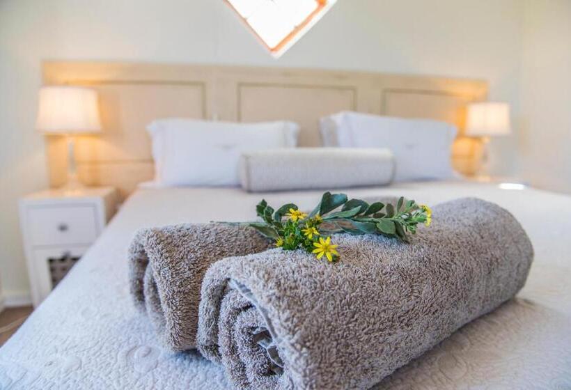 غرفة قياسية سرير كينج, Grootvlei Guest Farm