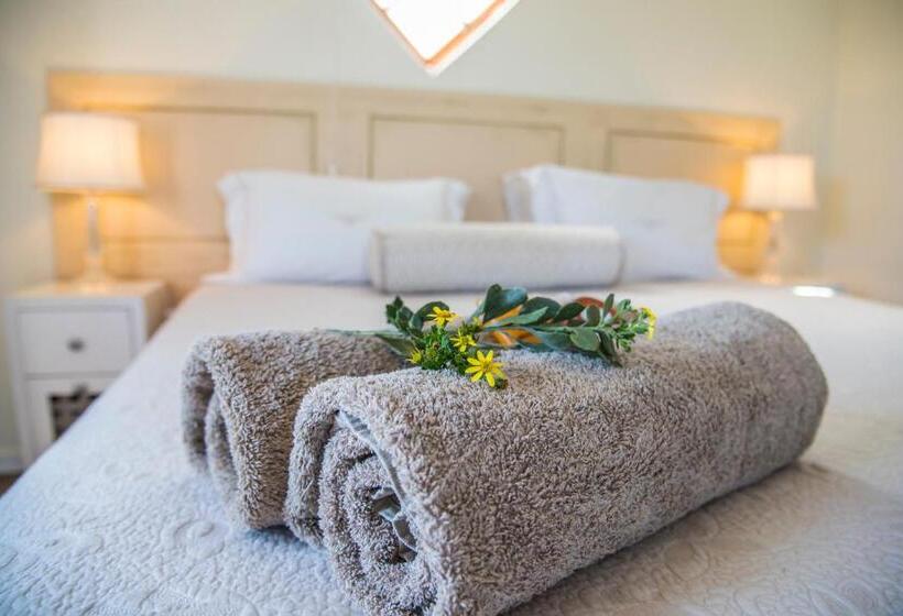 غرفة قياسية سرير كينج, Grootvlei Guest Farm