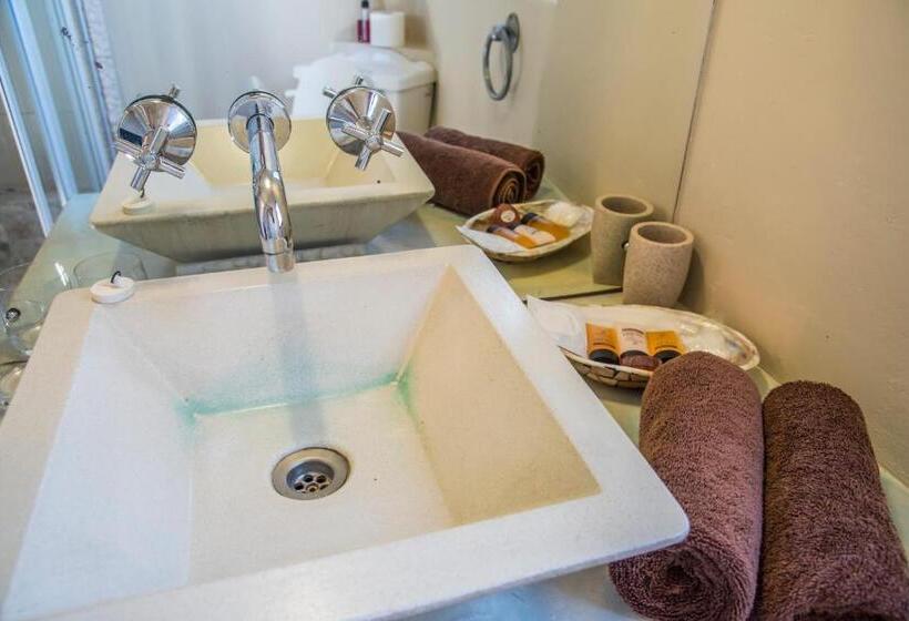 غرفة قياسية, Grootvlei Guest Farm