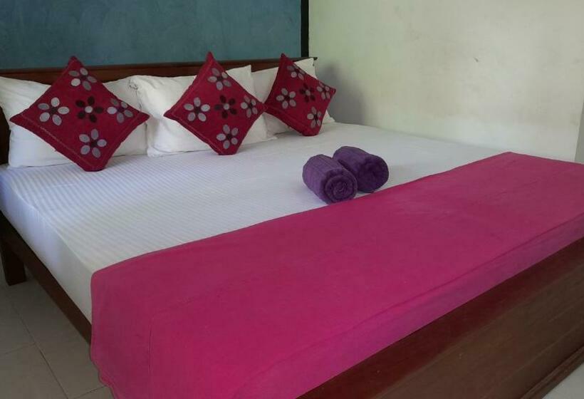 Quarto standard, Wild View Stay