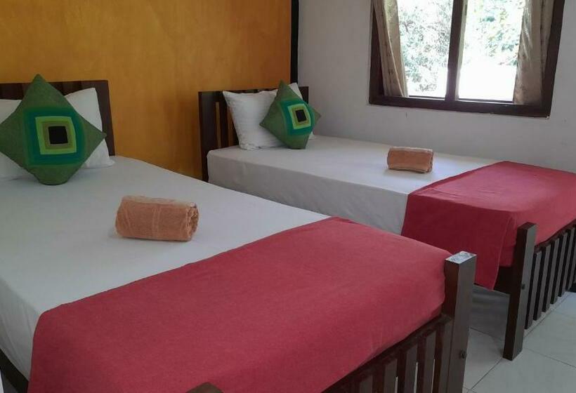 Quarto standard, Wild View Stay