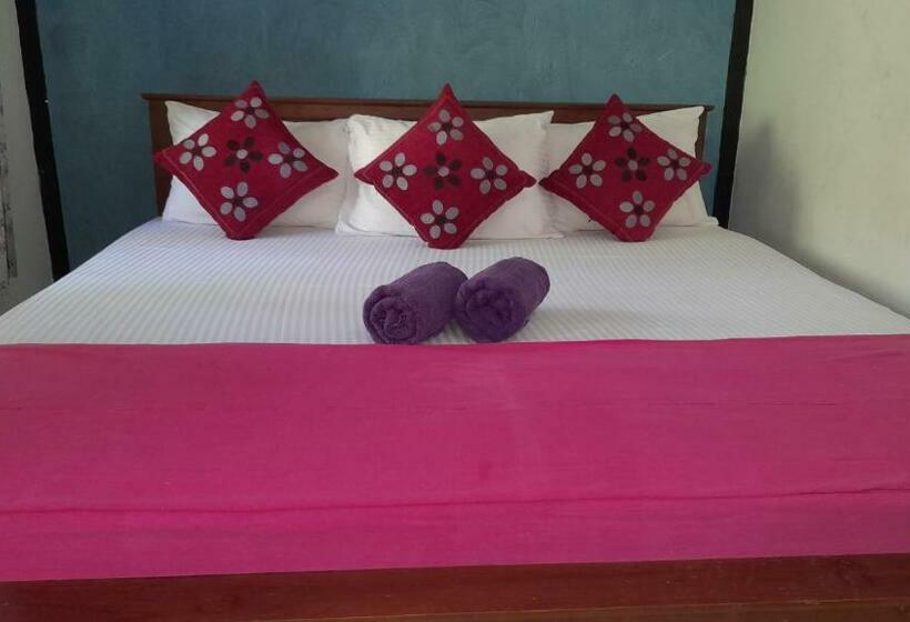 Quarto standard, Wild View Stay