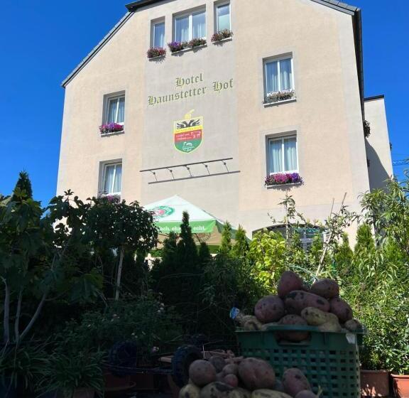 غرفة قياسية فردية, Haunstetter Hof Augsburg