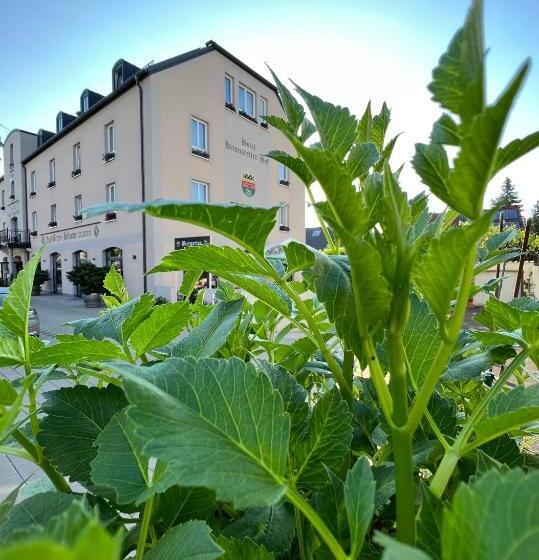 غرفة كومفورت, Haunstetter Hof Augsburg