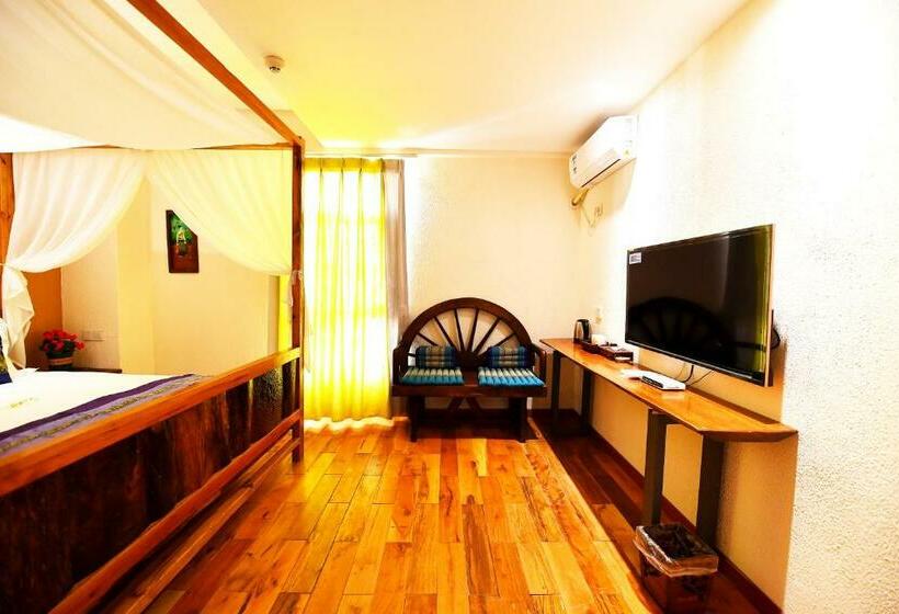 スタンダードルーム, T&t Story