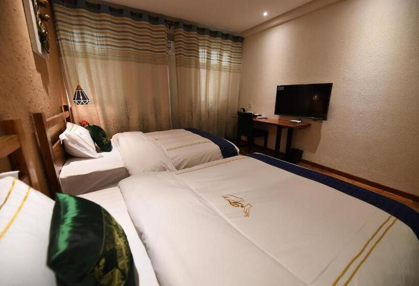 スタンダードルーム, T&t Story