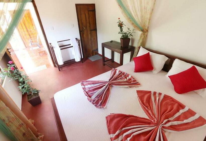 Quarto Estandar, Feel The Waves