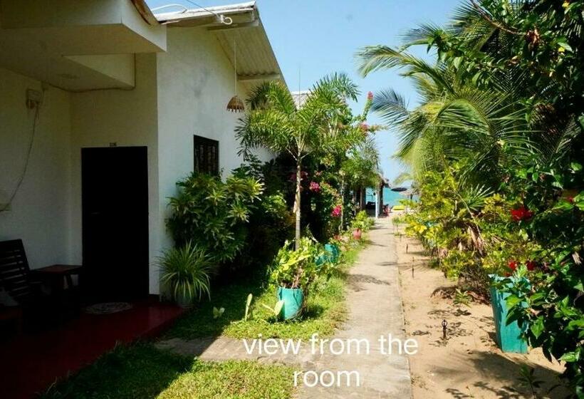 Семейный Номер Deluxe, Feel The Waves