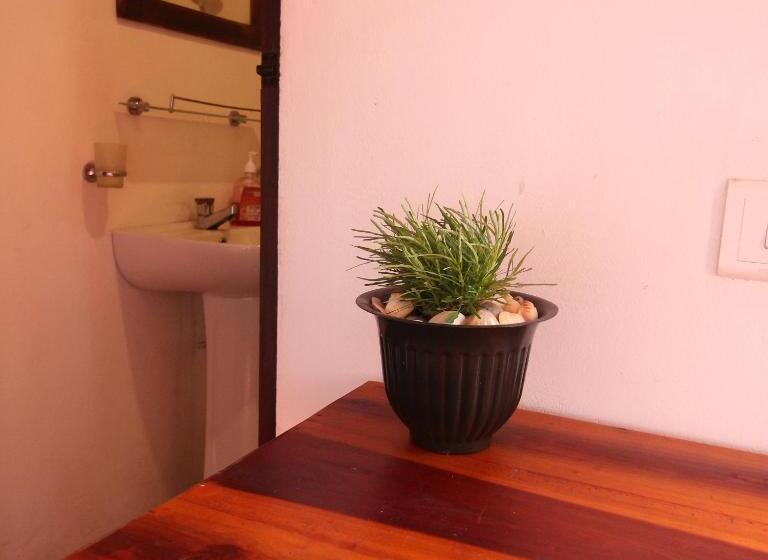 Семейный Номер Deluxe, Feel The Waves